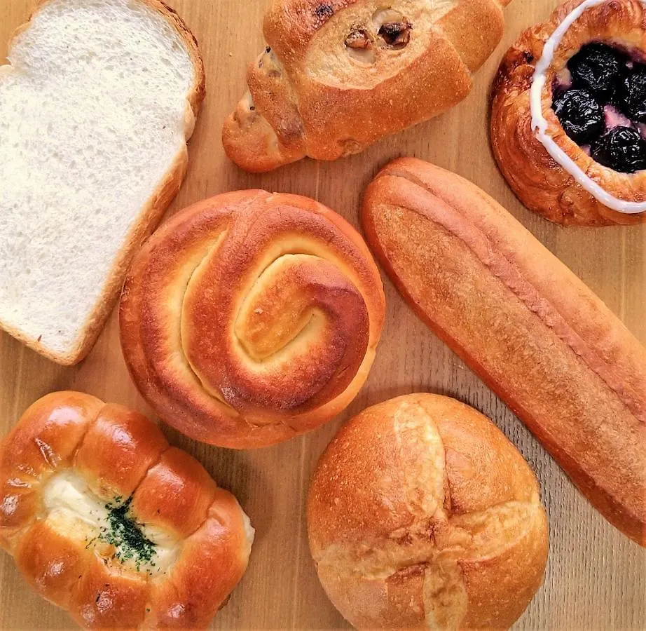 Sotetsu Fresa Inn Ochanomizu Jimbocho Tokyo