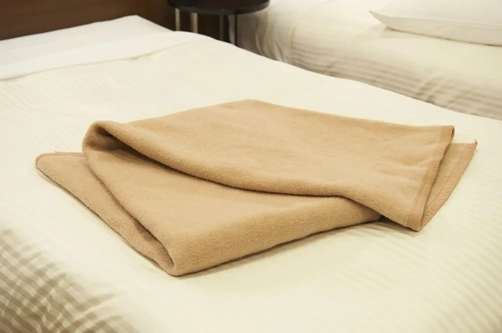 Sotetsu Fresa Inn Ochanomizu Jimbocho Tokyo Japonya