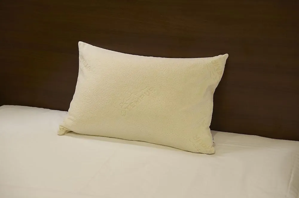 Sotetsu Fresa Inn Ochanomizu Jimbocho Tokyo 3*,