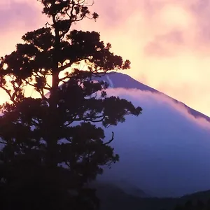 华之宿日式旅馆 箱根